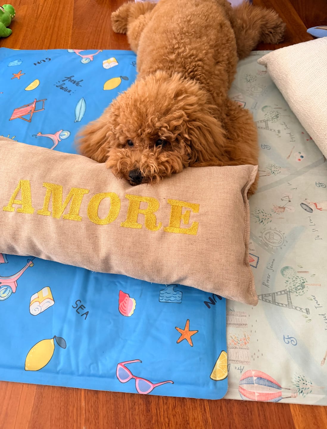 Customer photo review of Cuscino Arredo Amore Mattias Beige ( Soft Touch )