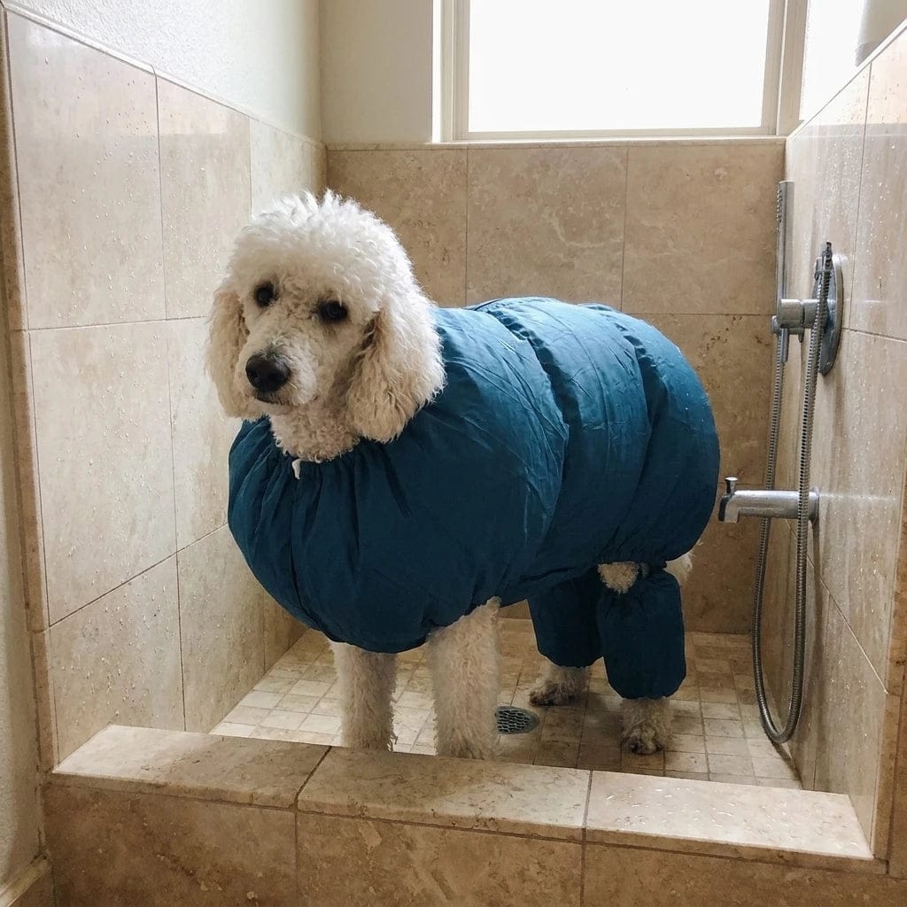 Customer photo review of Traje Secador Rápido para Perros y Gatos