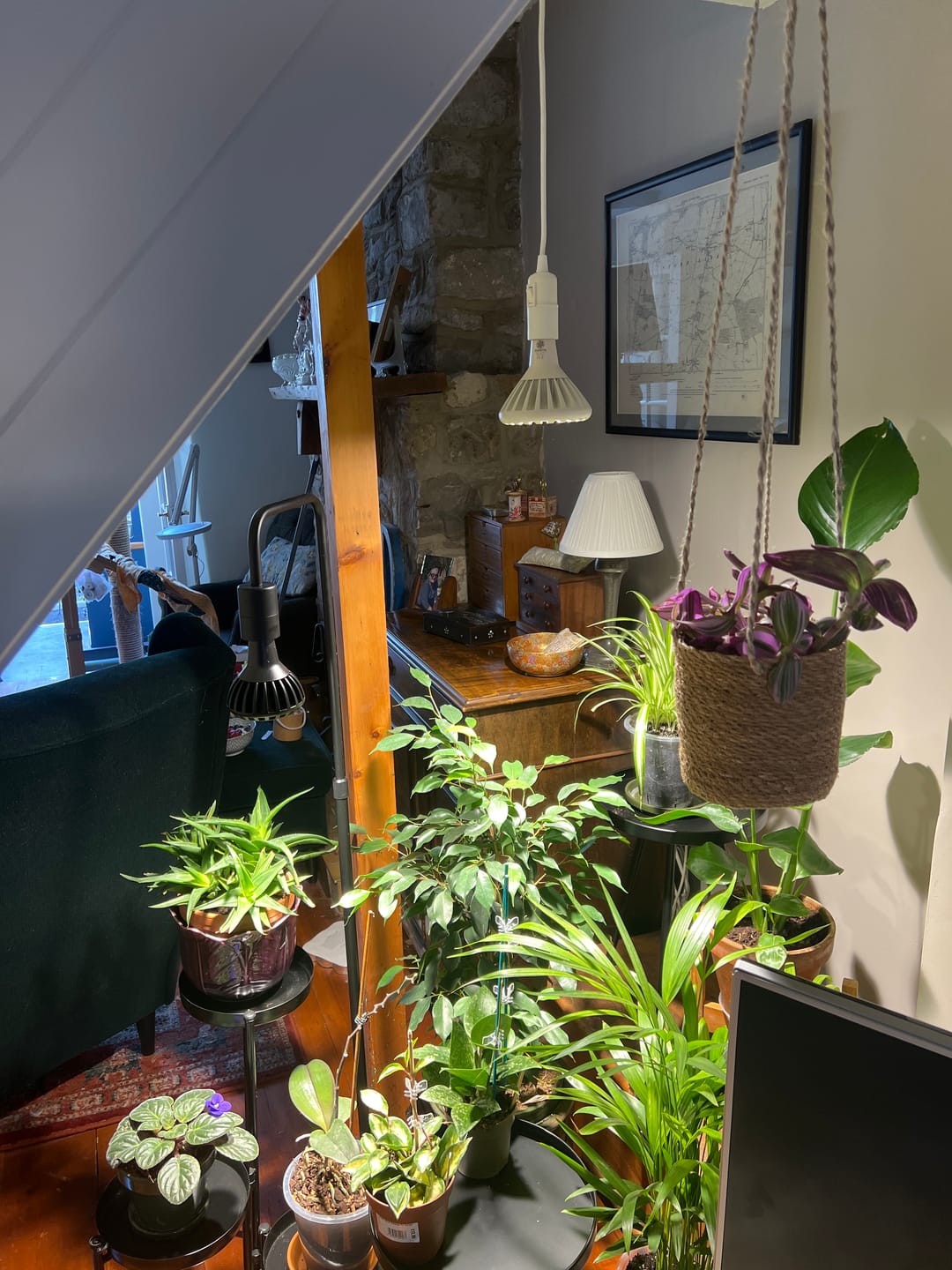 Customer photo review of Pianta Grow Light and Adjustable Floor Lamp Bundle