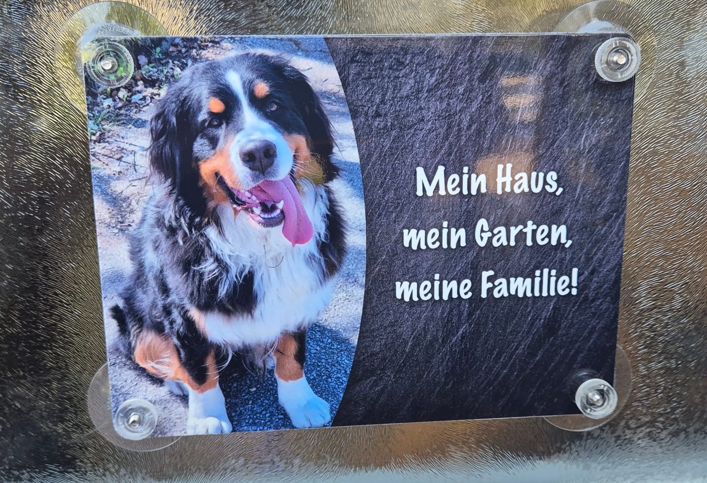 Customer photo review of Hunde-Türschild mit Foto & Wunschtext (UV- UND WETTERFEST) - Angebot beim Kauf eines 2. Schildes