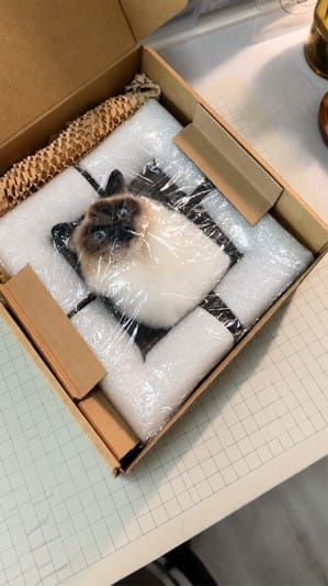 Customer photo review of Custom 3D Felted Cat Frame Portrait