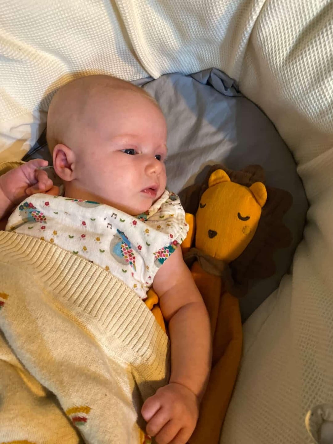 Customer photo review of Golden Lion Organic Baby Comforter