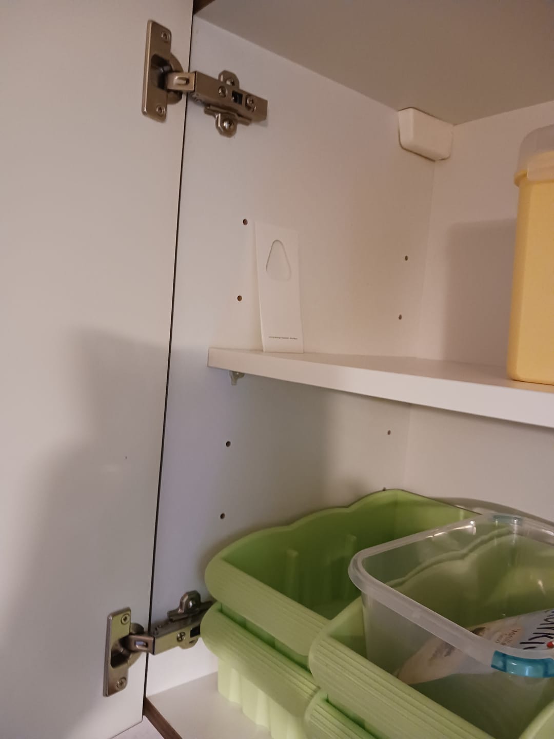 Customer photo review of Schlupfwespen gegen Lebensmittelmotten