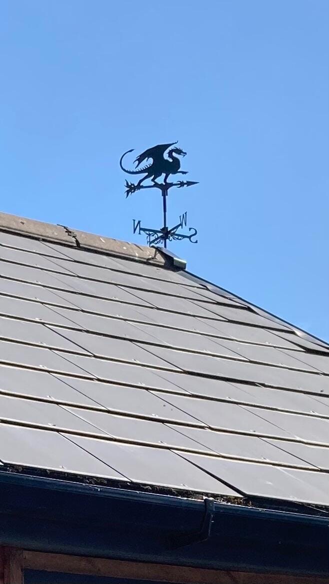 Customer photo review of Weather Vane - Flying Dragon
