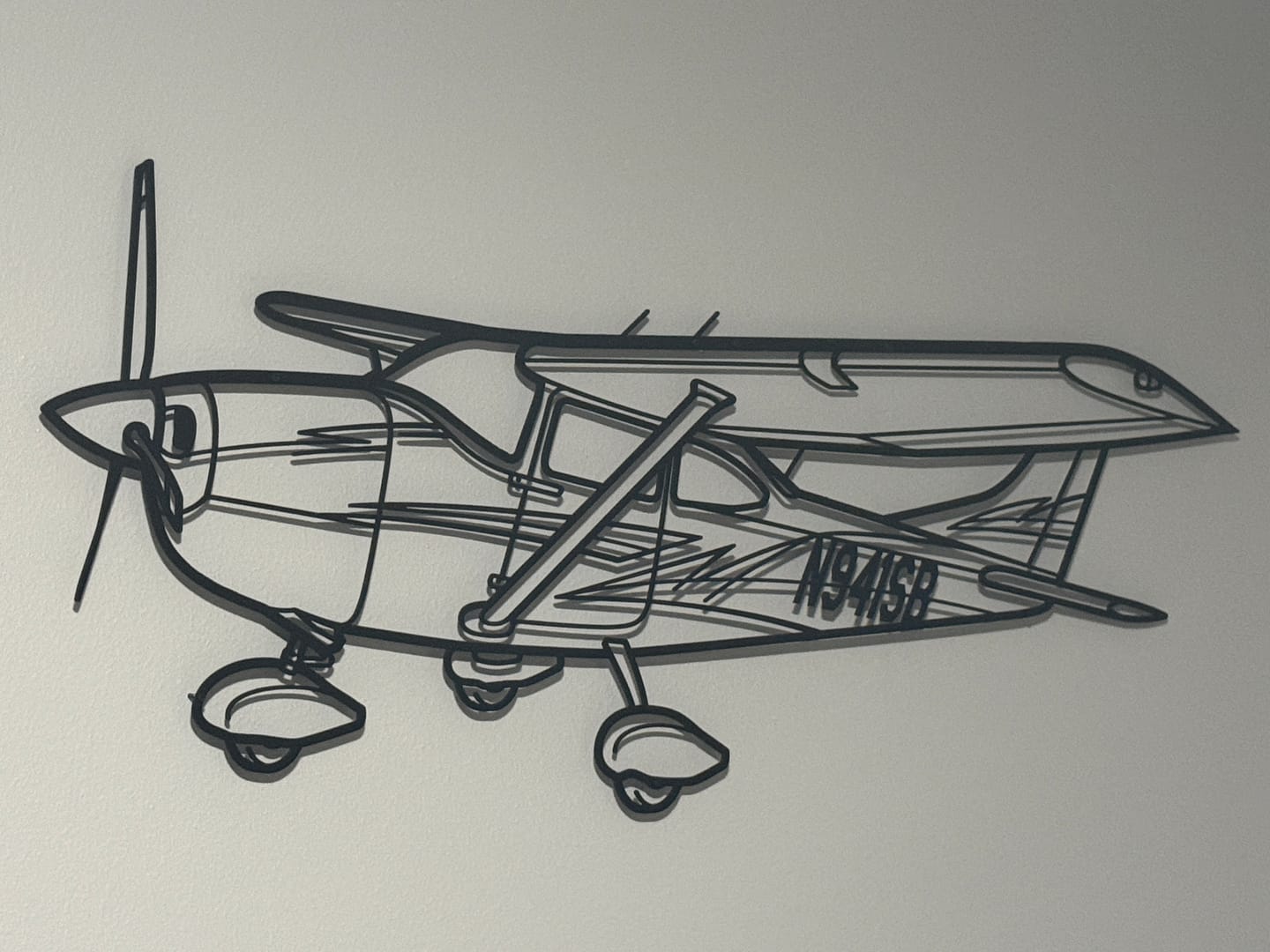 Customer photo review of Your Custom Aircraft Silhouette Metal Wall Art