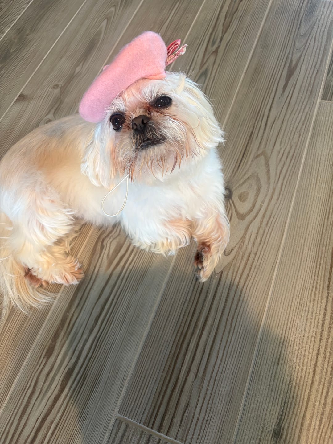 Customer photo review of Beret