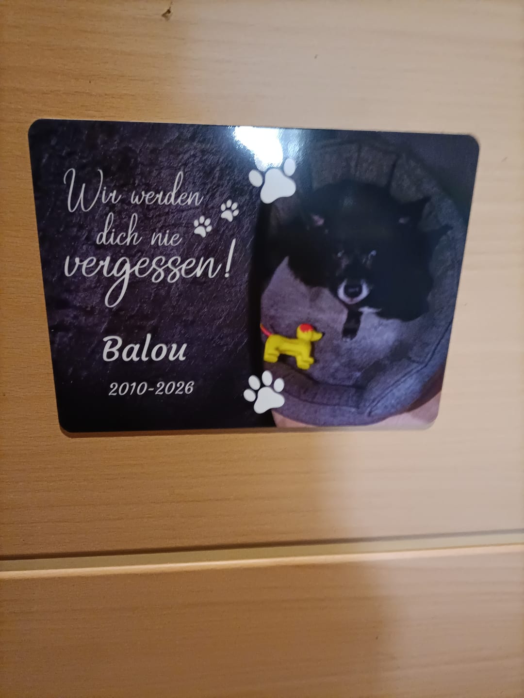 Customer photo review of Hunde Gedenktafel mit Foto & Spruch (UV- &  Wetterfest)