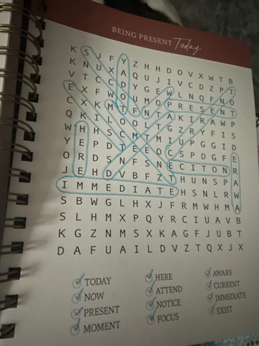Customer photo review of Be Still: Word Search Devotional for Peace & Rest in God
