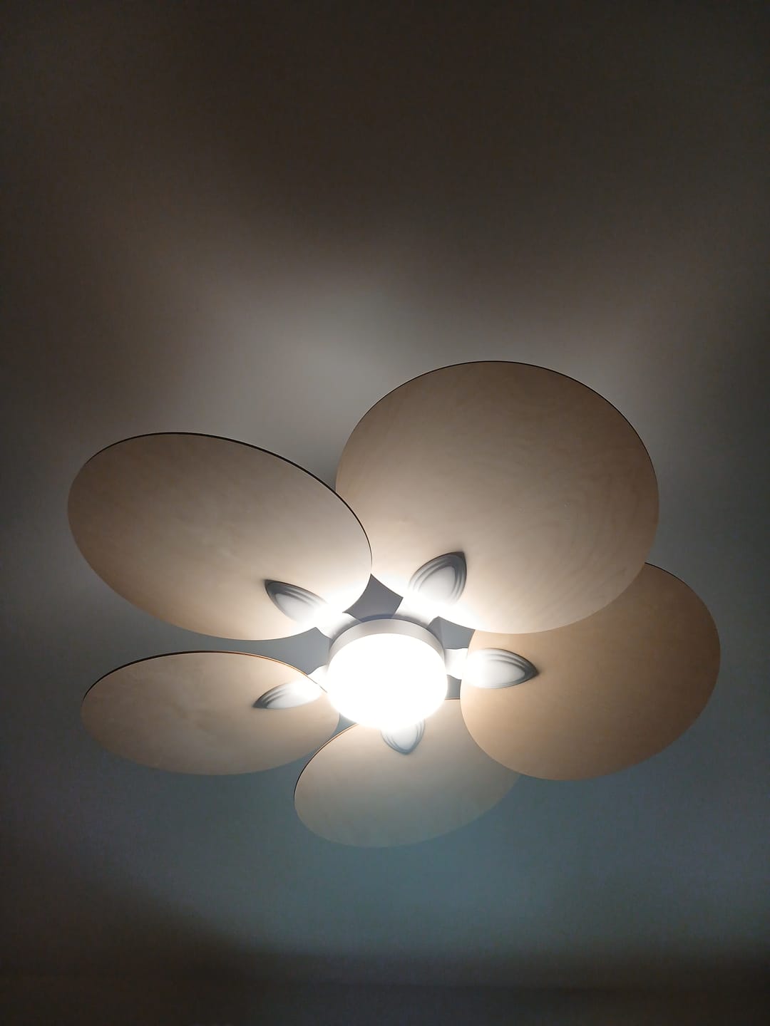 Customer photo review of Lotus | Ventilateur de plafond – Ø 105 cm