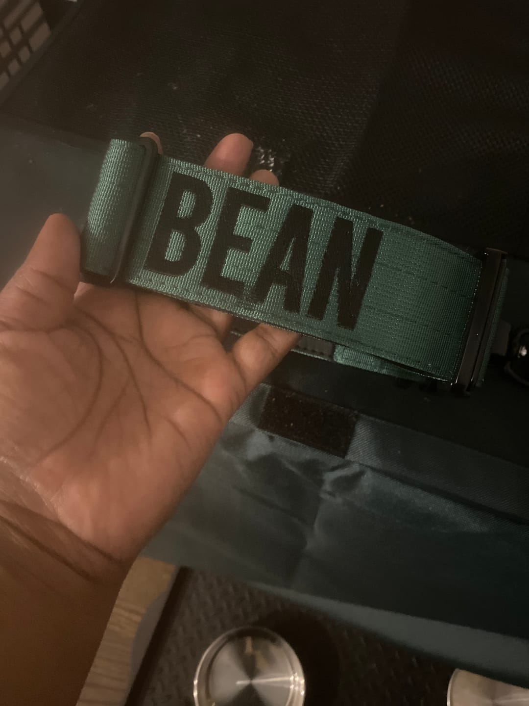 Customer photo review of Bully Proof Collar