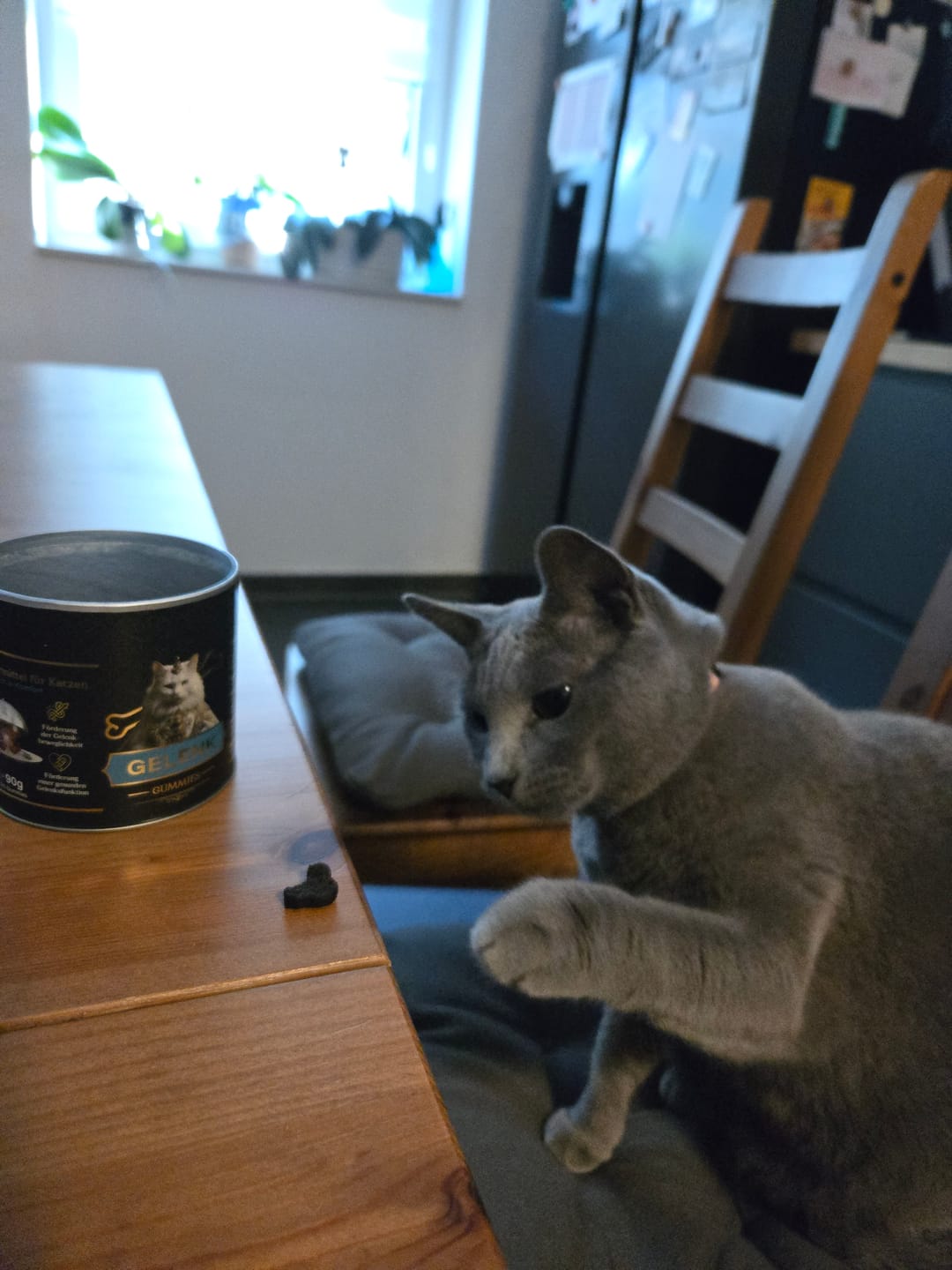 Customer photo review of Gelenk Gummies
