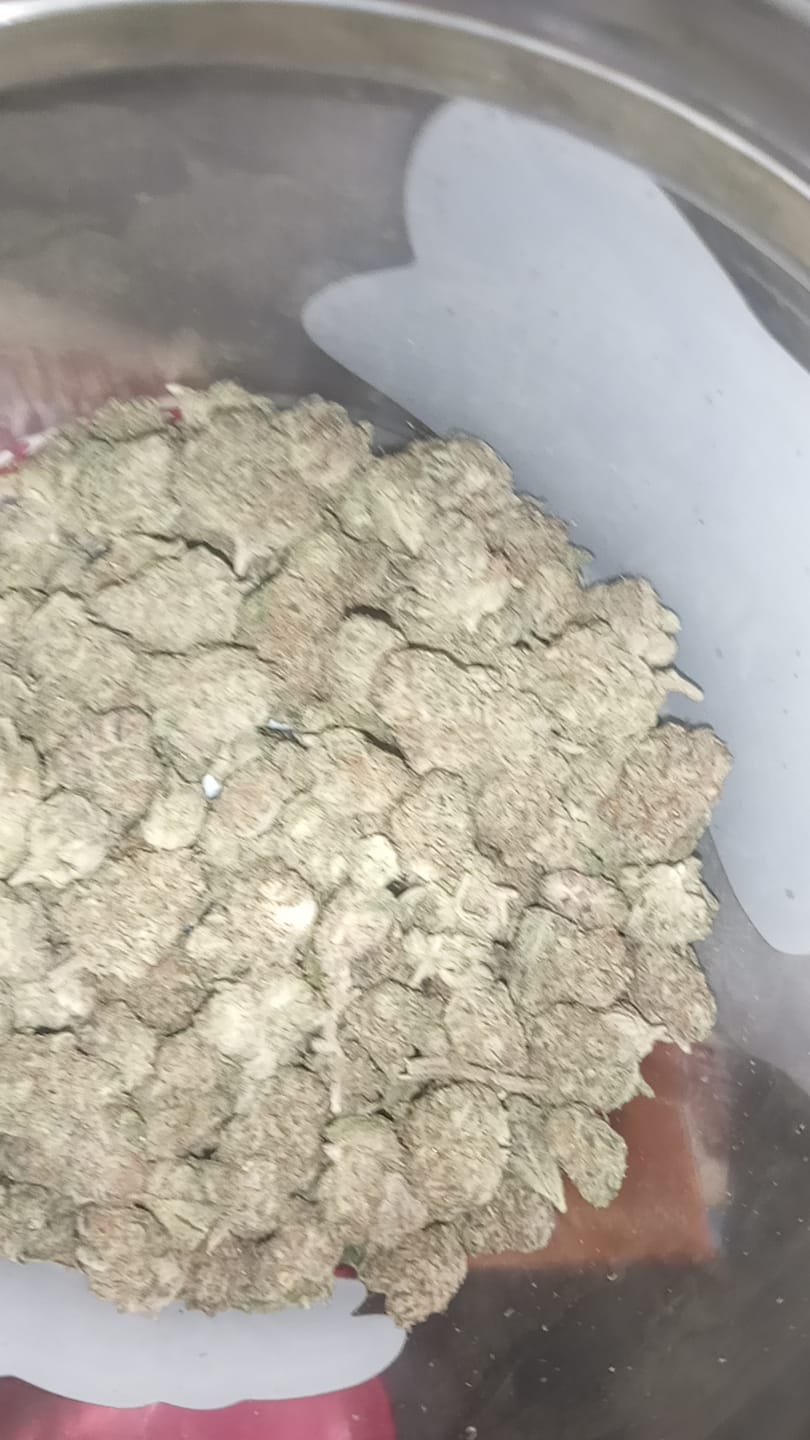 Customer photo review of Space Station (Indoor Smalls) - THCA Flower