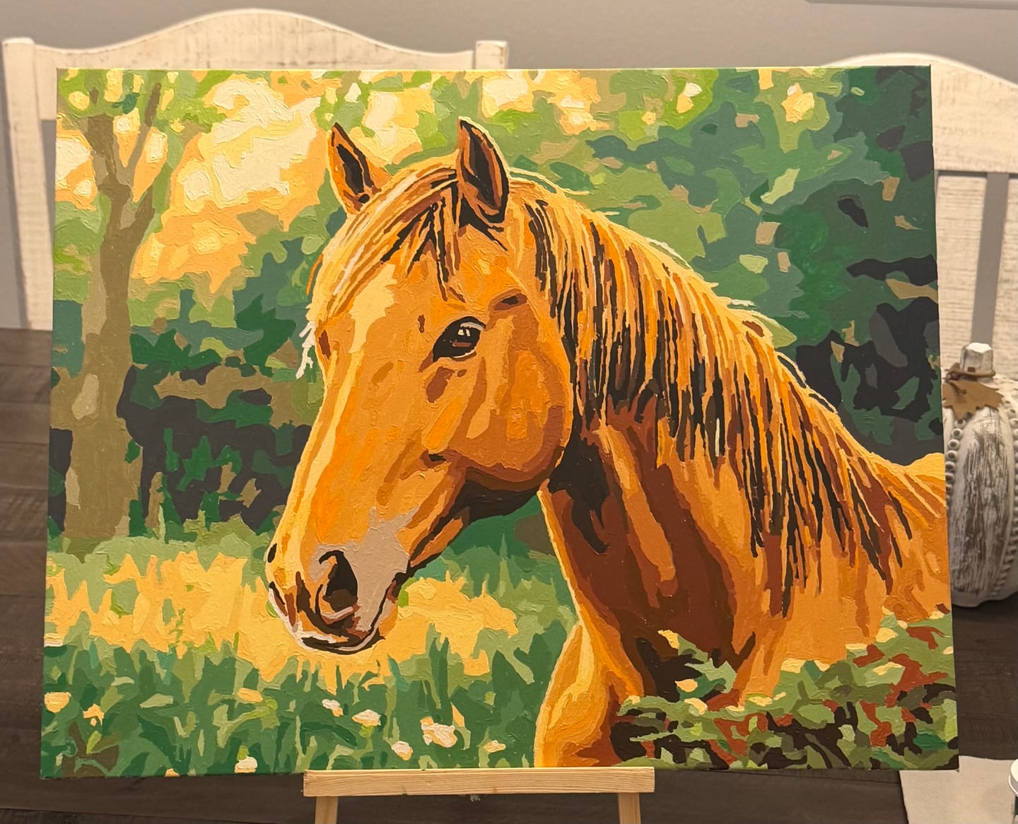 Customer photo review of Fierce Stallion