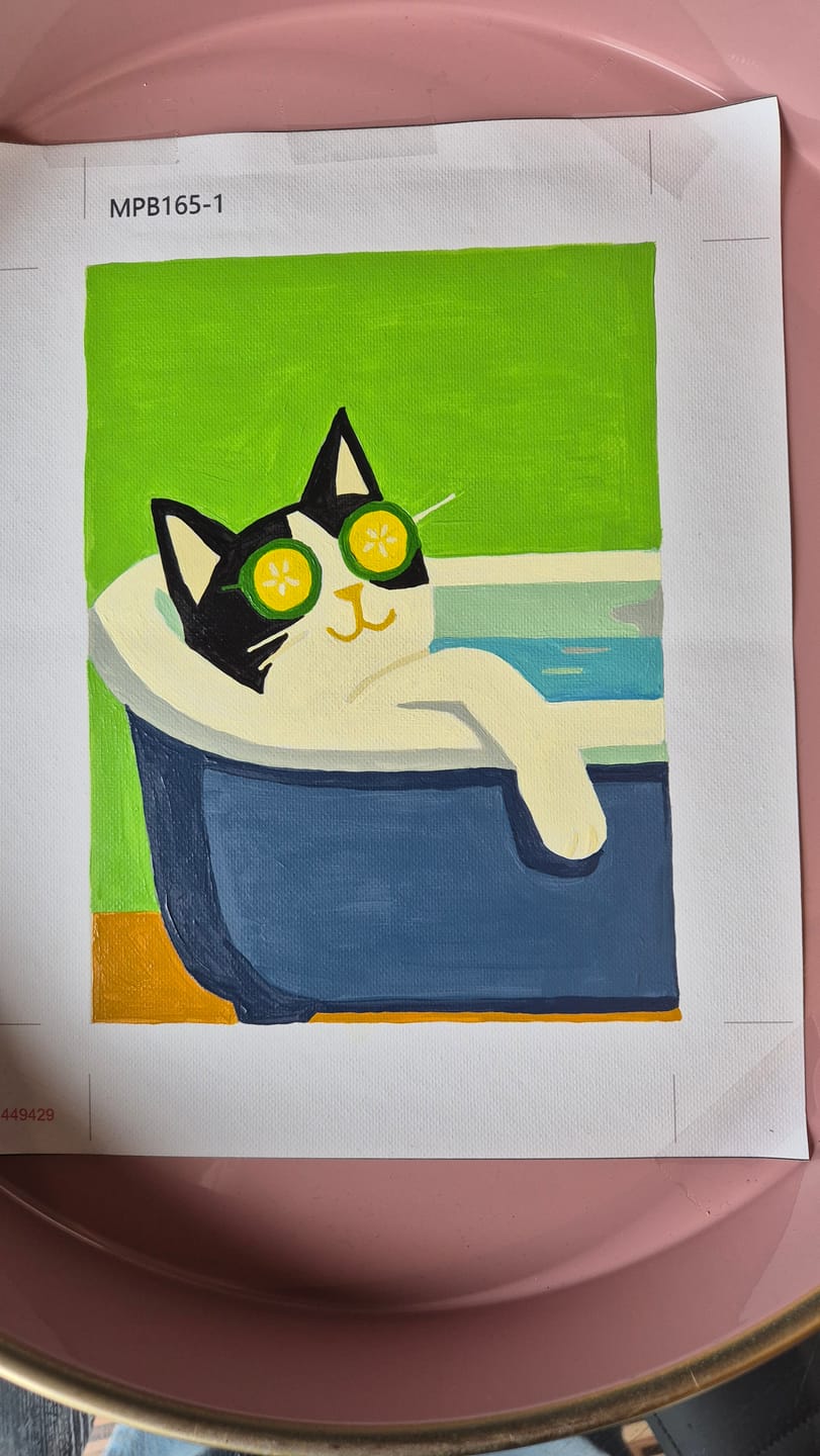 Customer photo review of 6 Mini Paintings - Crazy Cat Set