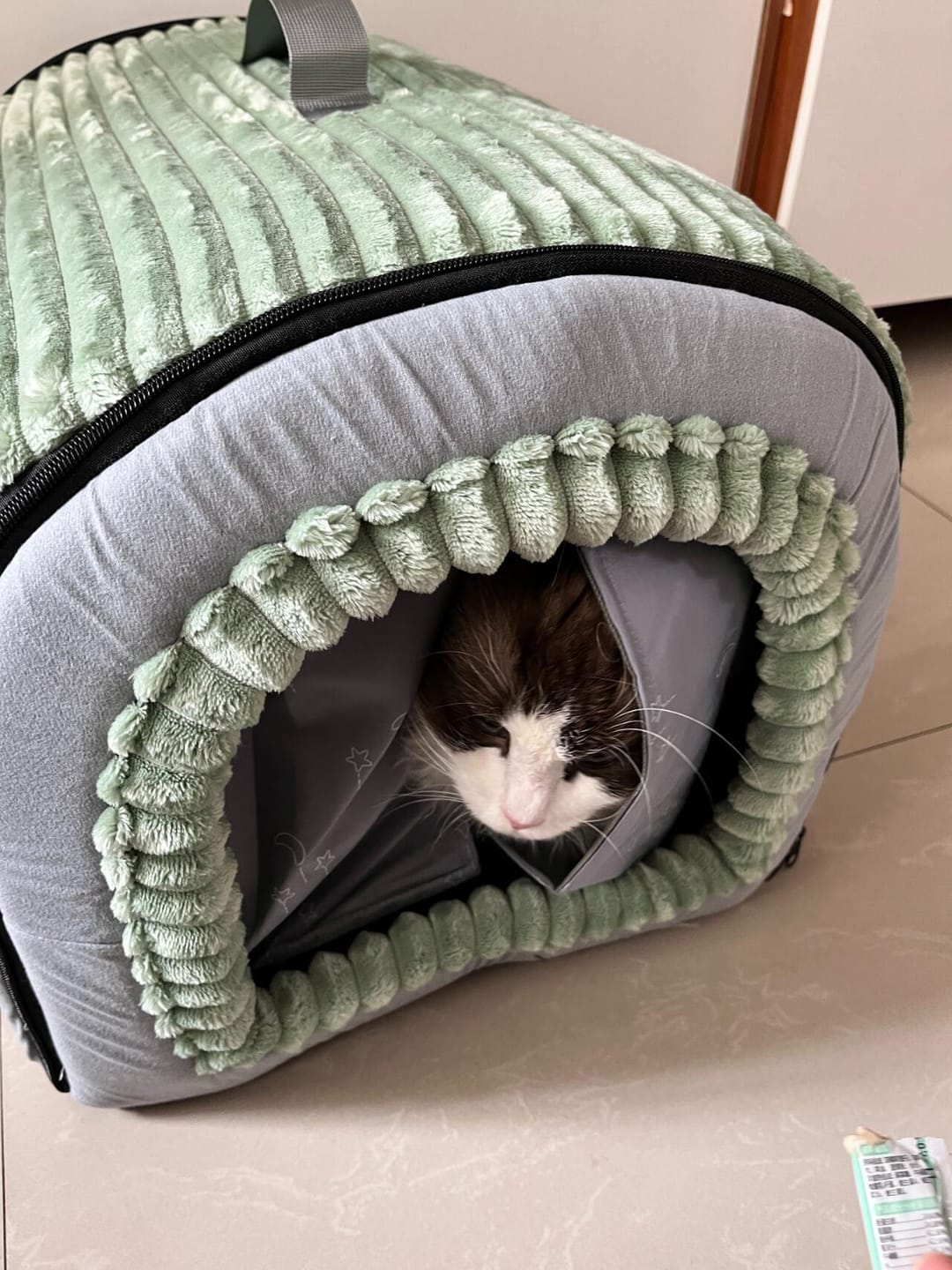 Customer photo review of Closed Cat House