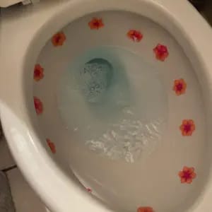Customer photo review of Deodorante per WC Gel a Doppio Colore con Profumo Duraturo