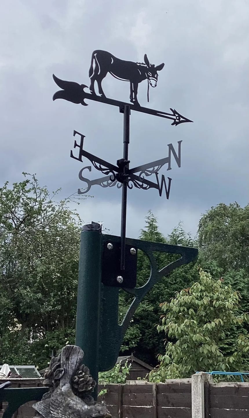Customer photo review of Weather Vane - Donkey
