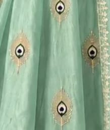Customer photo review of Mint Green Embroidered Anarkali Gown
