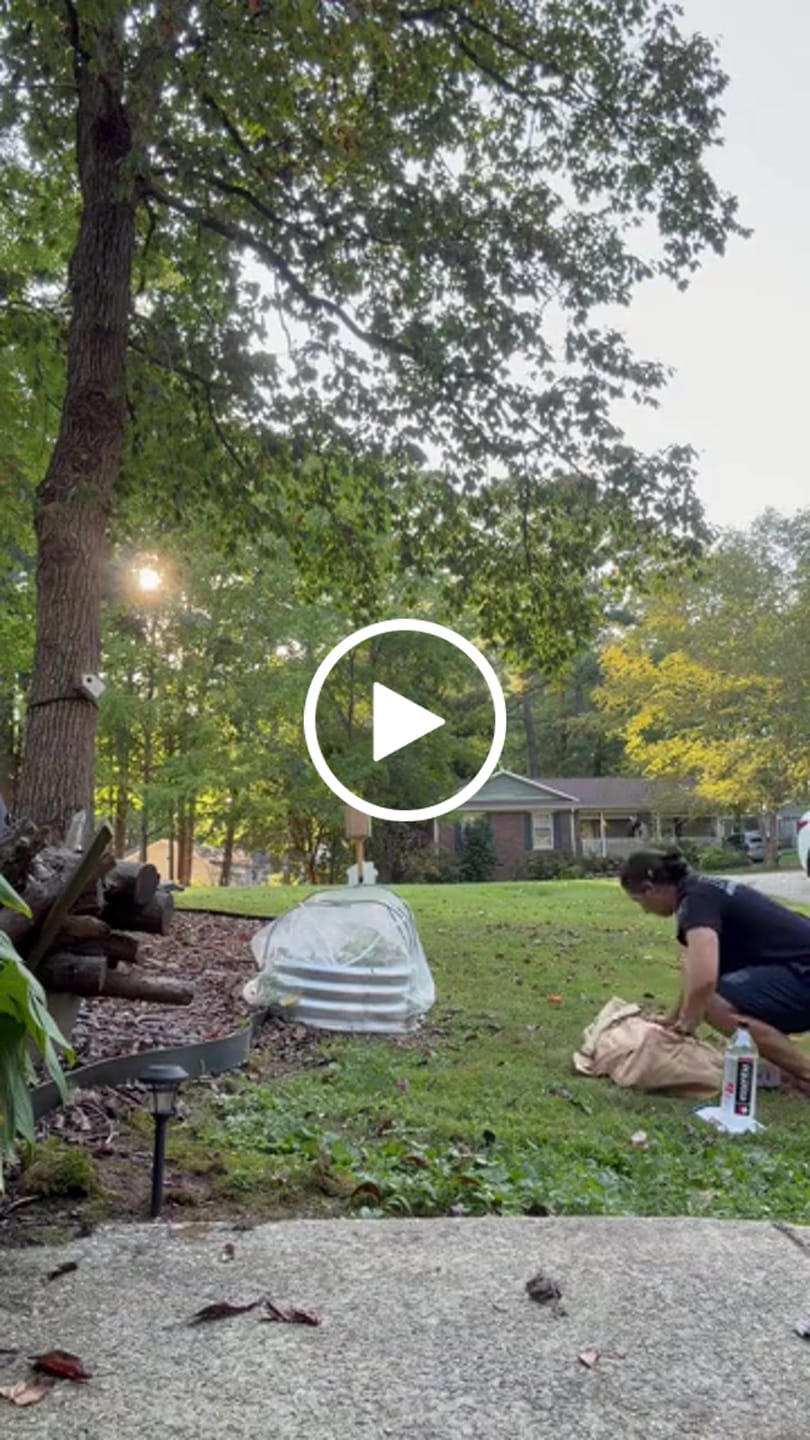 Customer video review of The Go Hammock