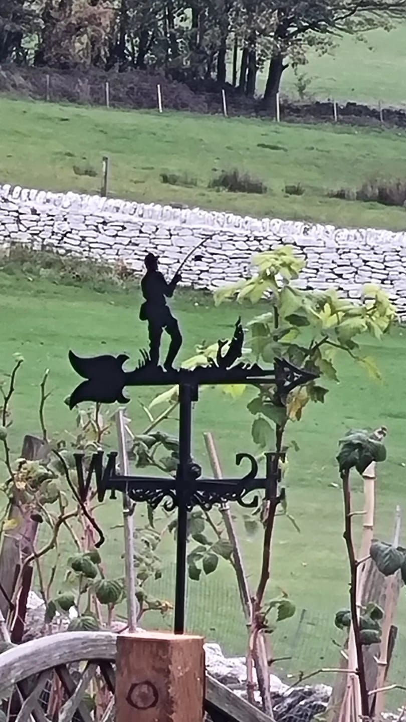 Customer photo review of Weather Vane - Fisherman Fishing