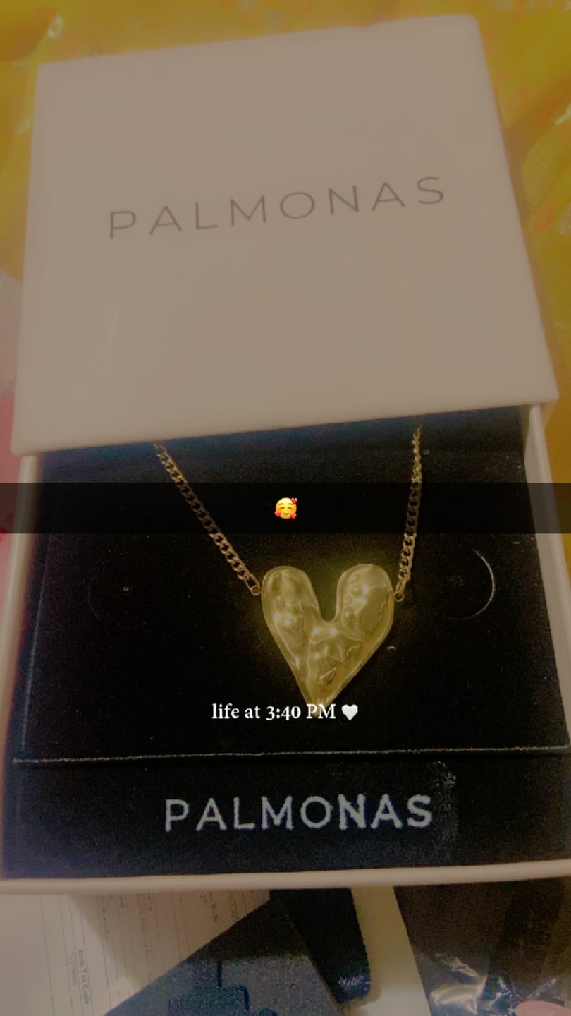Customer photo review of Butterfly Long Chain Necklace