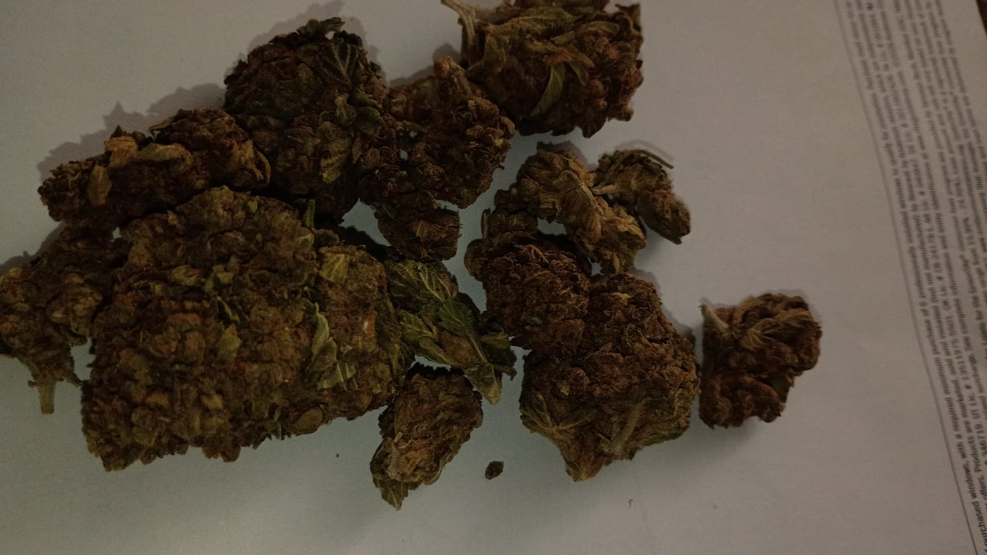 Customer photo review of Jungle Gelato - 28 Grams - Indica
