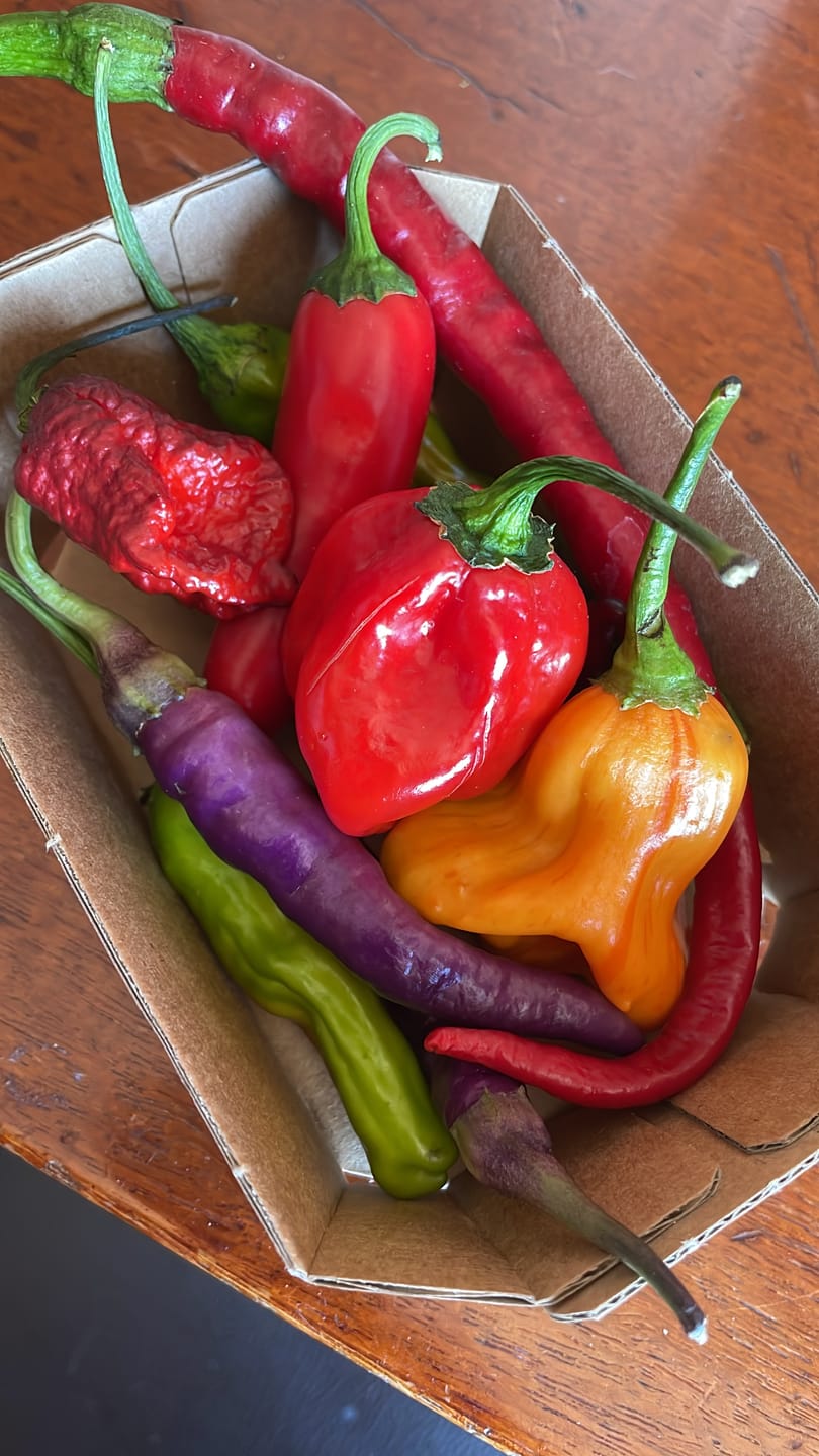 Customer photo review of Mini Fresh Chili Mix