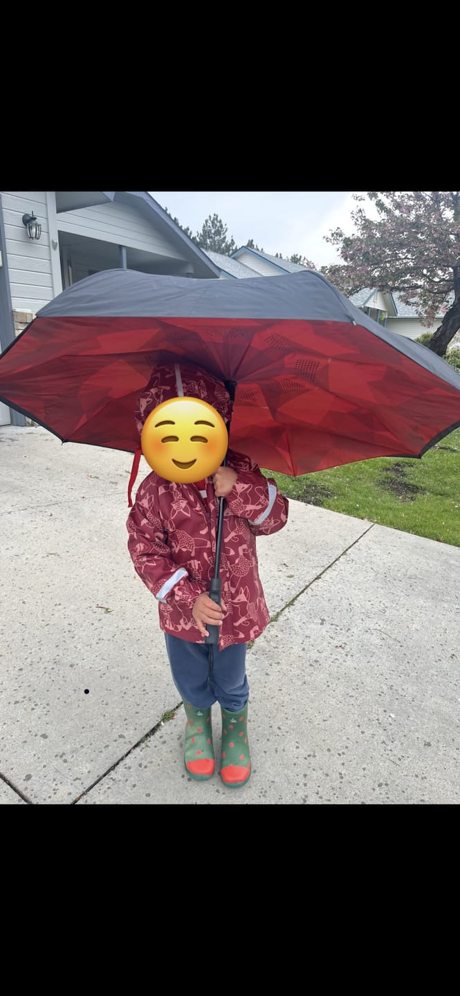 Customer photo review of Red Apples Classic Wellington Fair Rubber Natural Waterproof Boots
