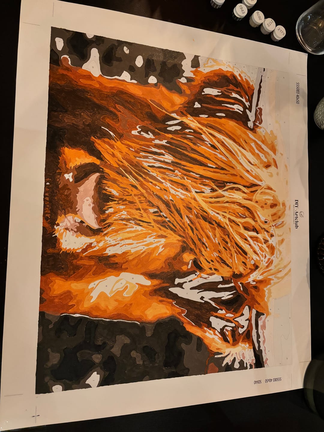 Customer photo review of Scottish Highland Cattle | Paint by numbers