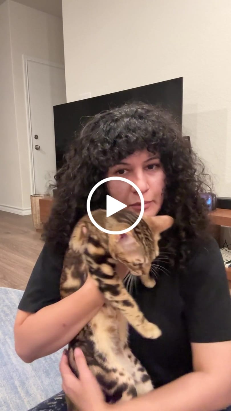 Customer video review of Escape-Proof Cat Harness + Leash