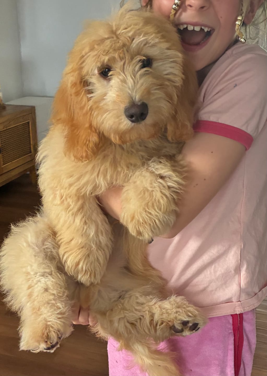 Customer photo review of GroomMate Pet Grooming Kit