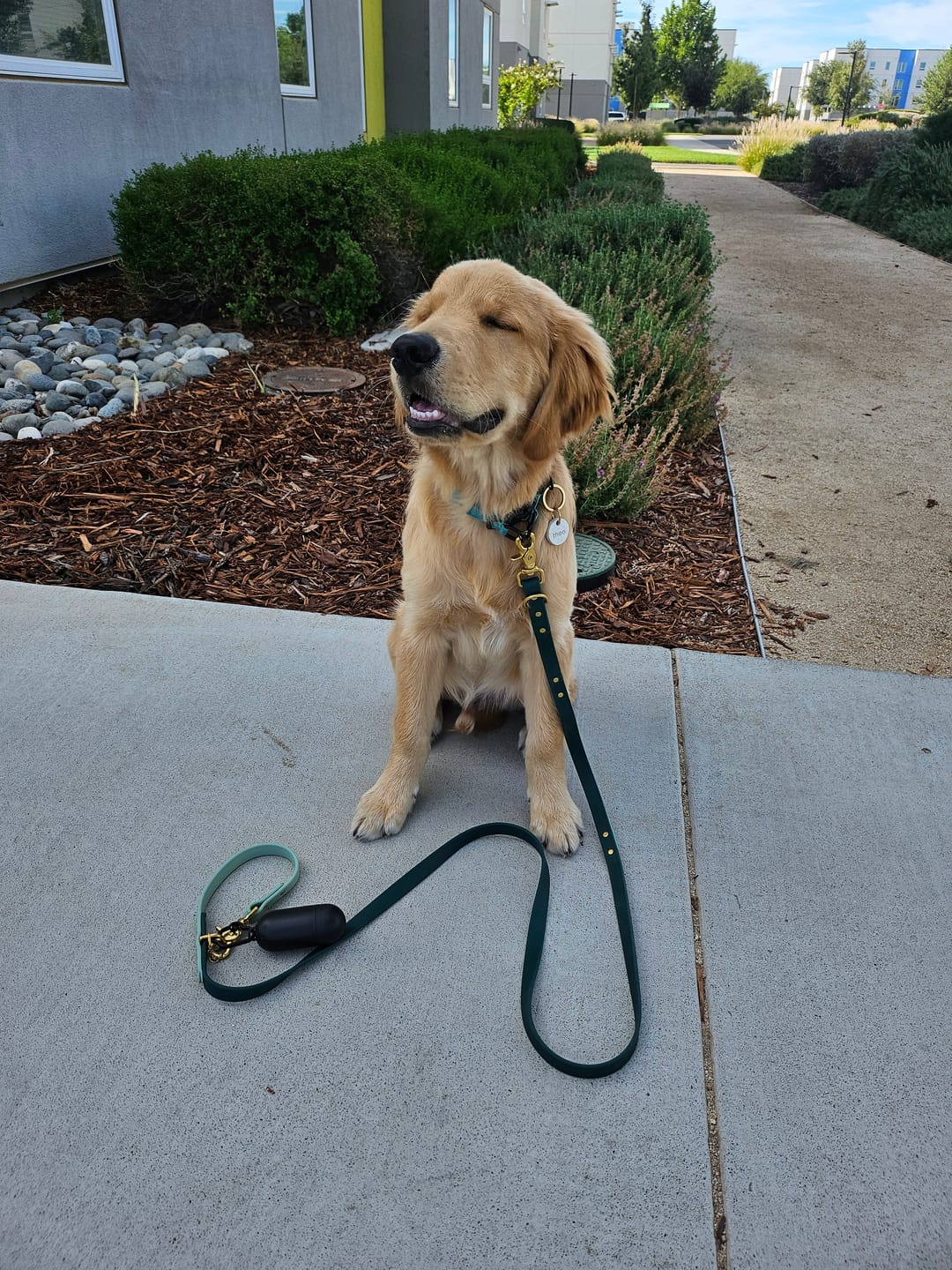 Customer photo review of Biothane Traffic Handle Dog Leash