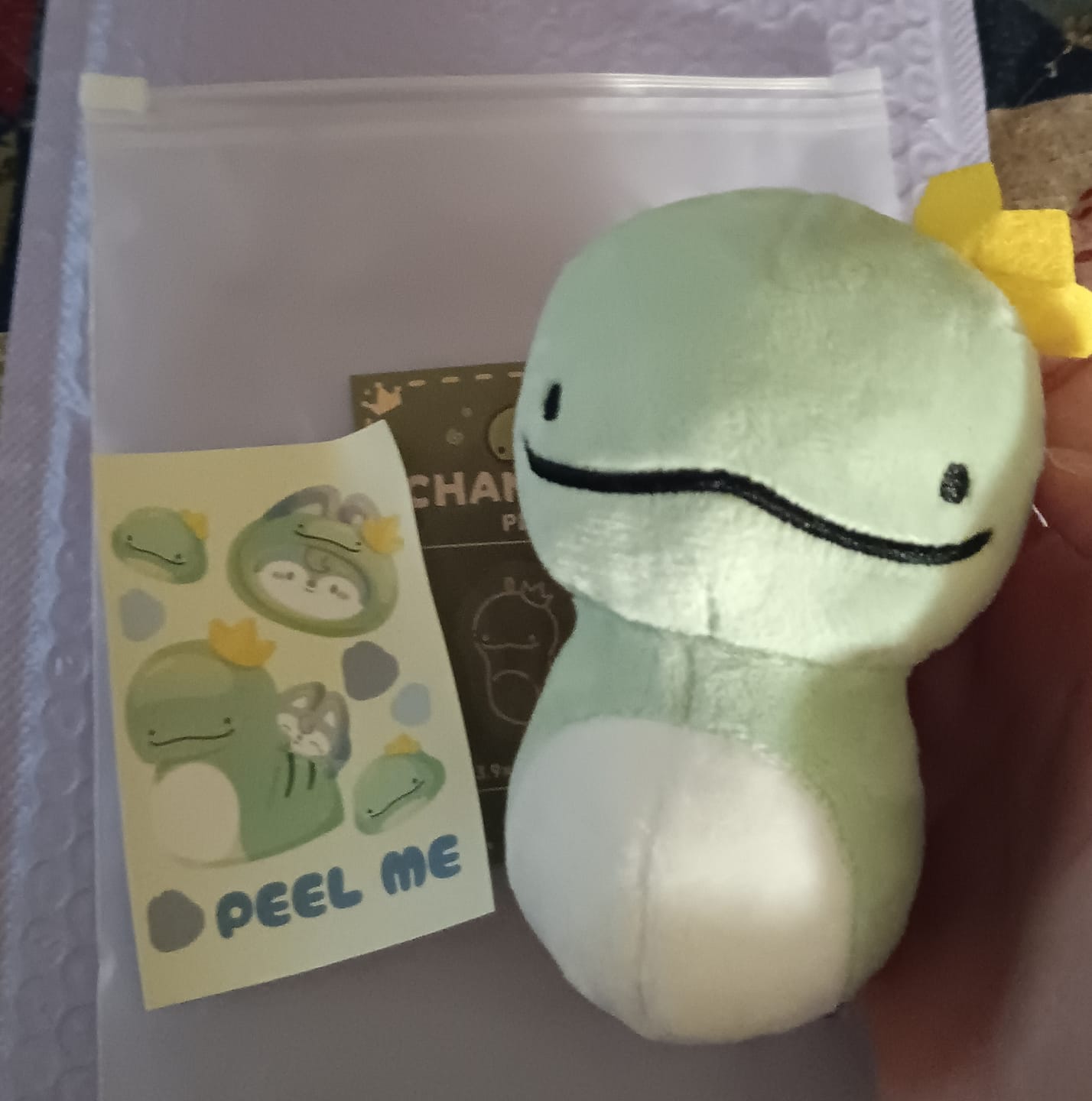 Customer photo review of CHANDORA PLUSH DOLL 10CM