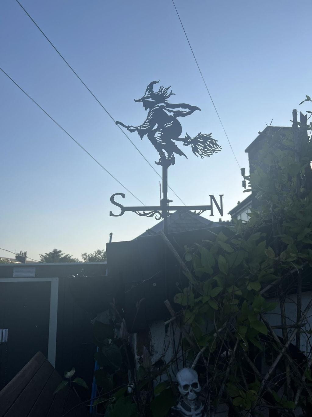 Customer photo review of Weather Vane - Flying Witch
