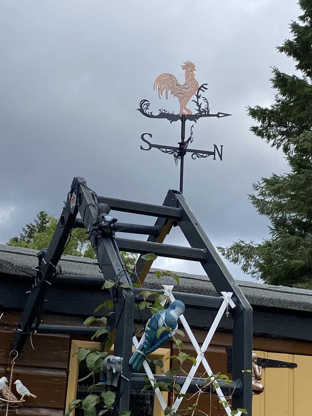 Customer photo review of Weather Vane - Rooster
