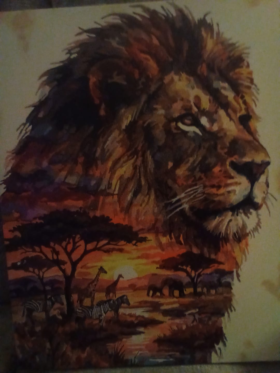 Customer photo review of Savanna King at Dusk (80 Color Paint by Numbers)