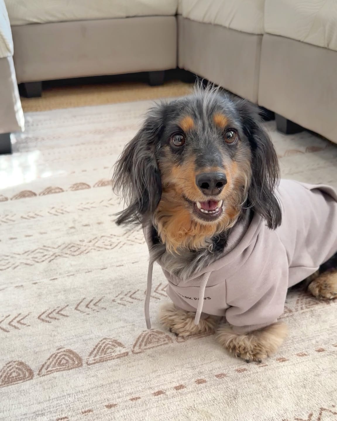 Customer photo review of Essential Dog Hoodie - Clay