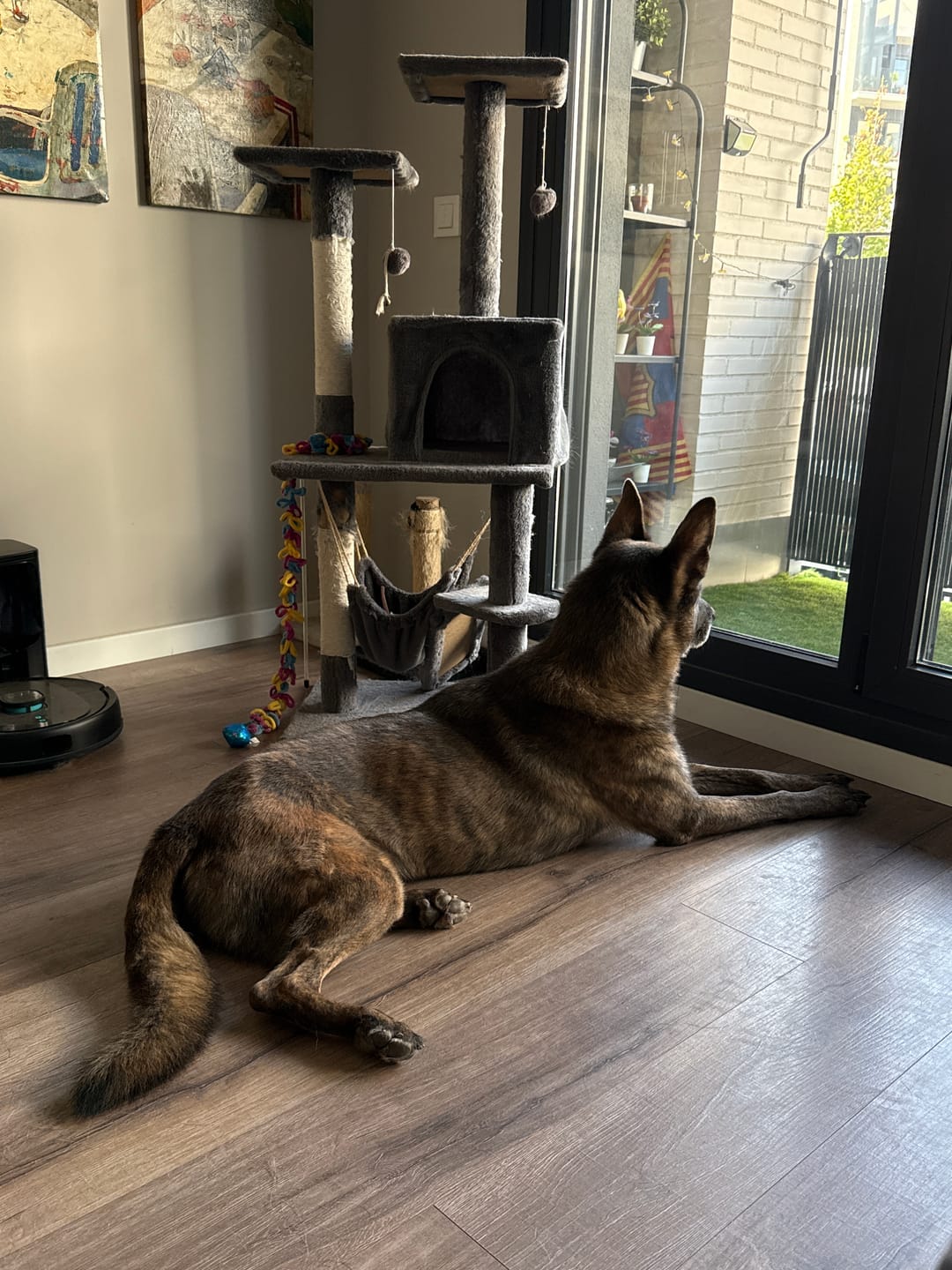 Customer photo review of Light