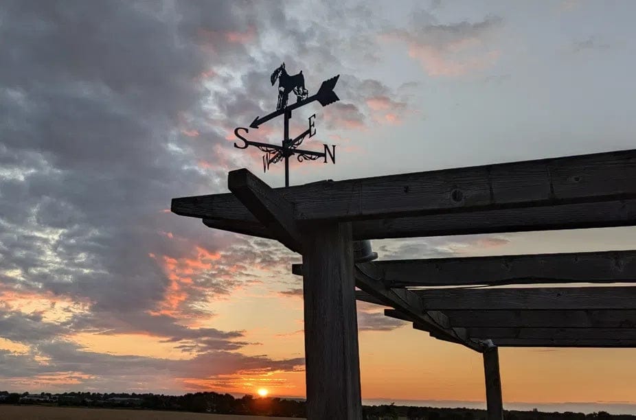 Customer photo review of Weather Vane - Schnauzer