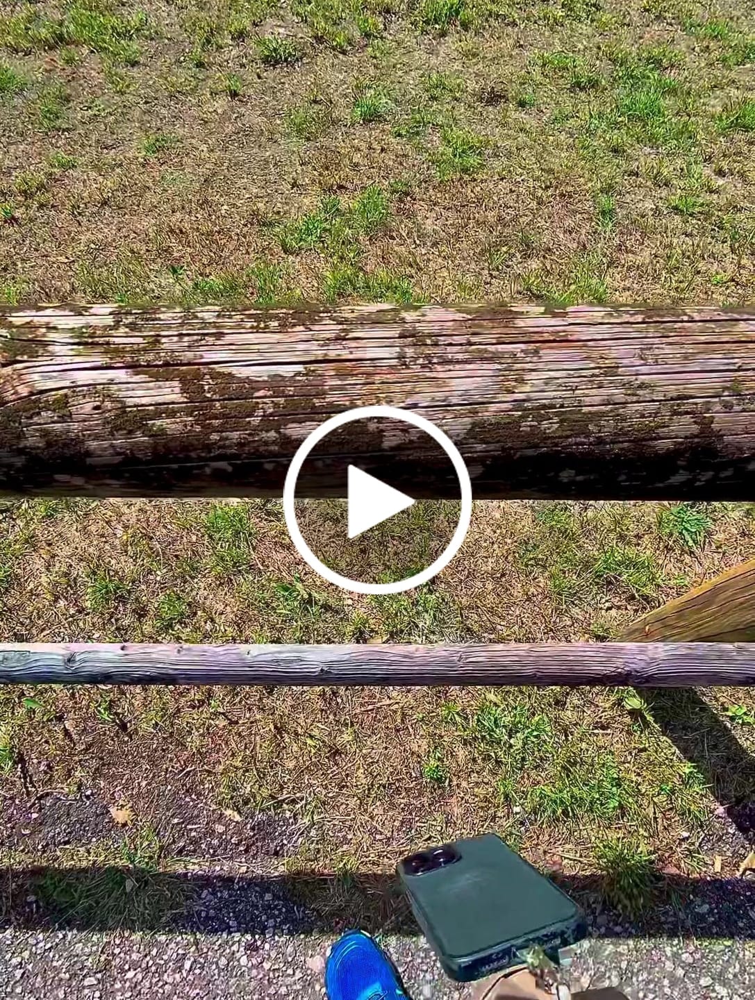 Customer video review of WolfPaw - Scarpe Barefoot