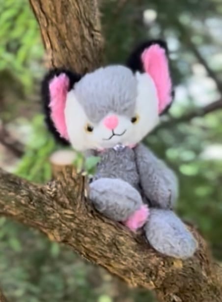 Customer photo review of Magical Noopy2 Plush - PORTER