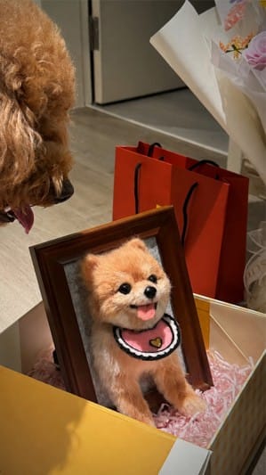Customer photo review of Custom 3D Felted Cat Frame Portrait