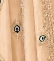 Customer photo review of Cream Silk Embroidered Anarkali Gown
