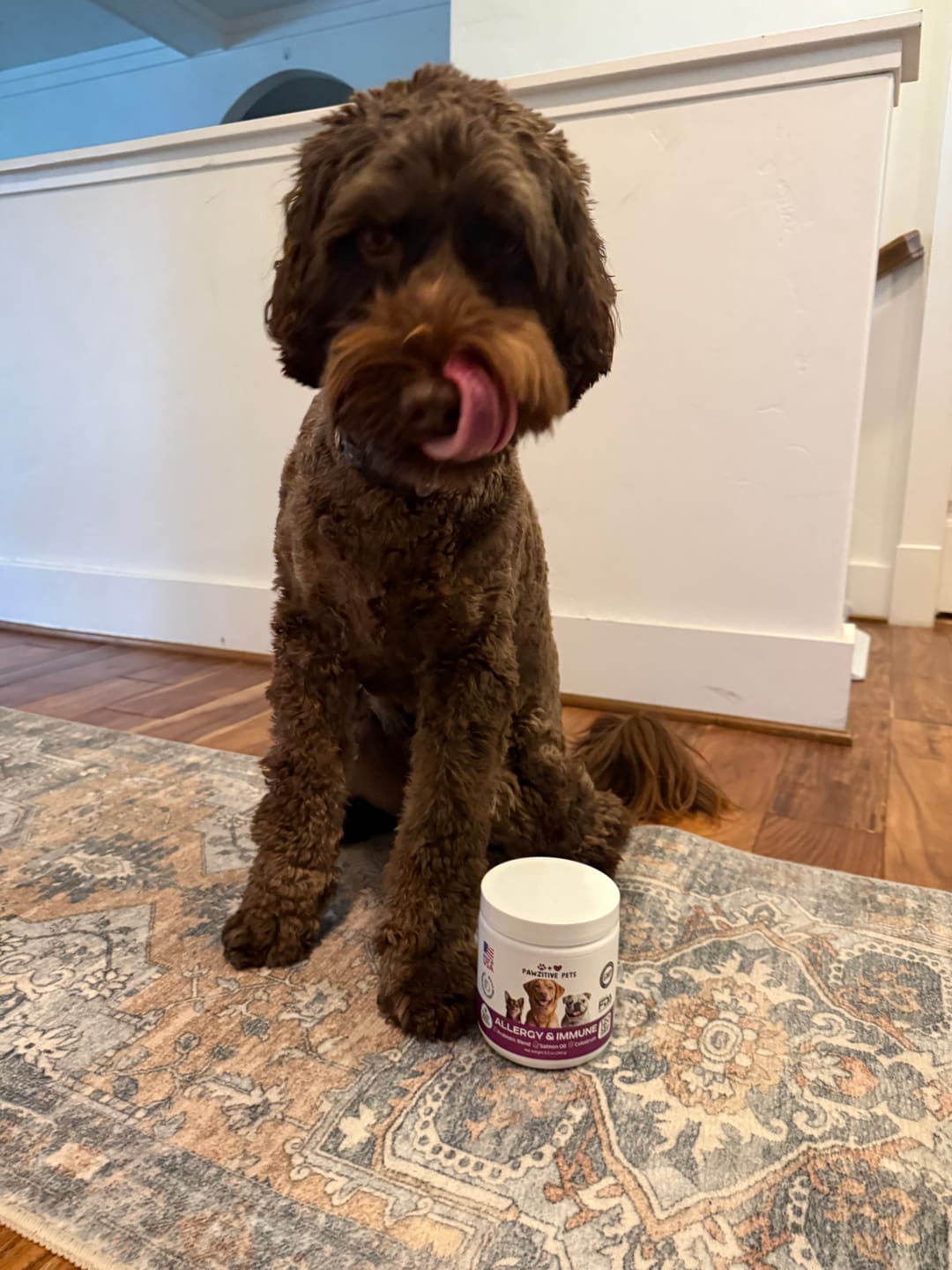 Customer photo review of Dog Allergy Chews for Itchy Skin, Paw Licking & Seasonal Allergies – Immune Support, 120 Soft Chews (Beef Flavor)