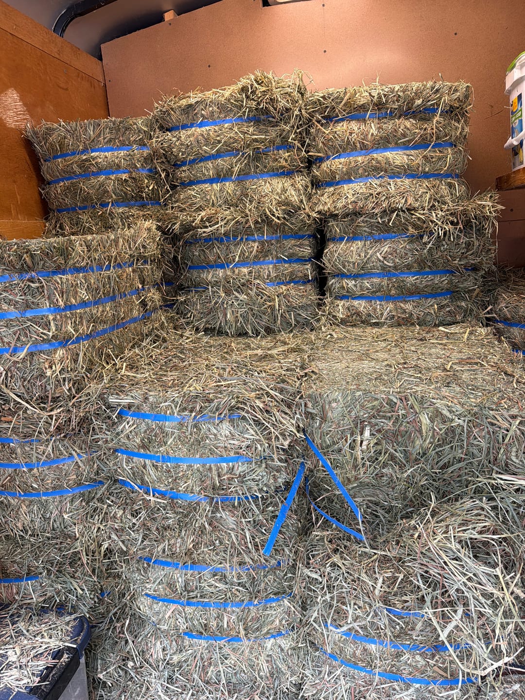 Customer photo review of Timothy Orchard Grass Hay 1st Cut (2026 Crop) Grass Hay (Buy More - Save More)(Includes delivery too!)