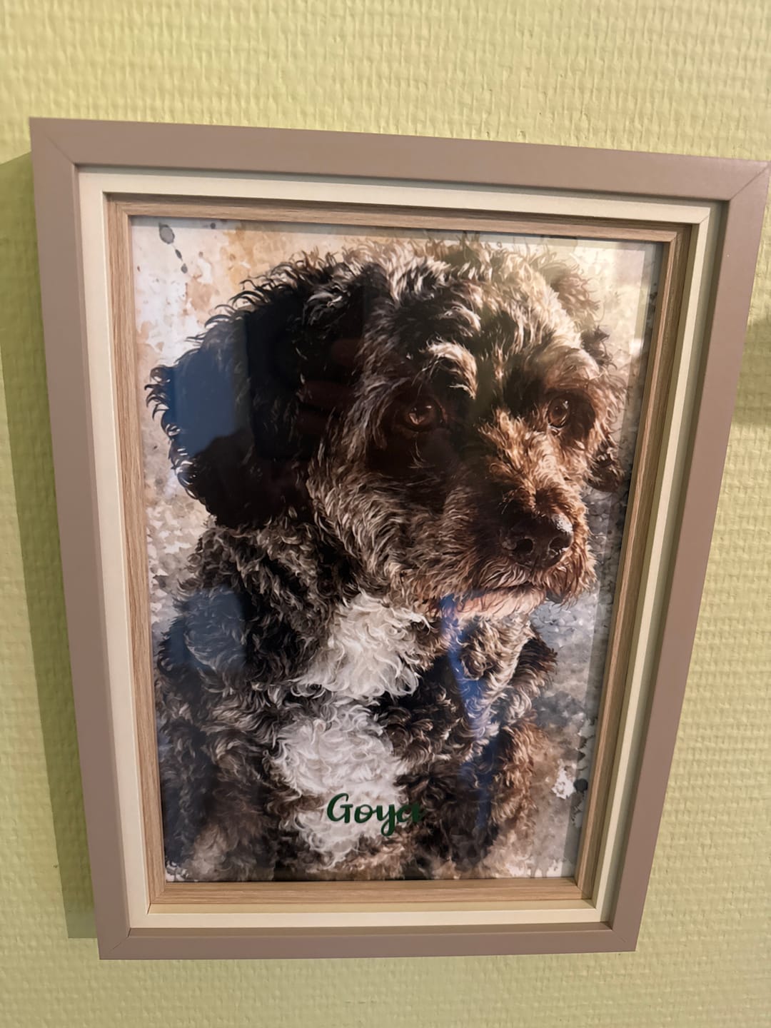 Customer photo review of Realistisch Aquarelportret - Gepersonaliseerde Poster