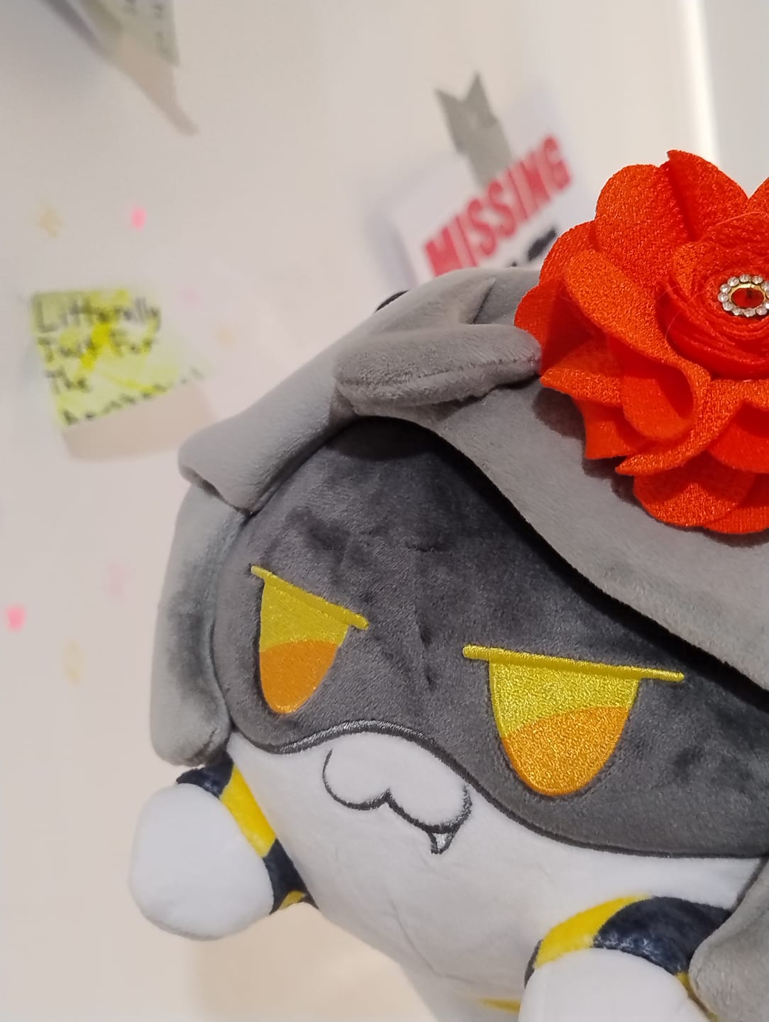 Customer photo review of V Cat Plush