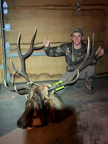 Customer photo review of Cut on Contact Titanium Broadheads (3 Pack)