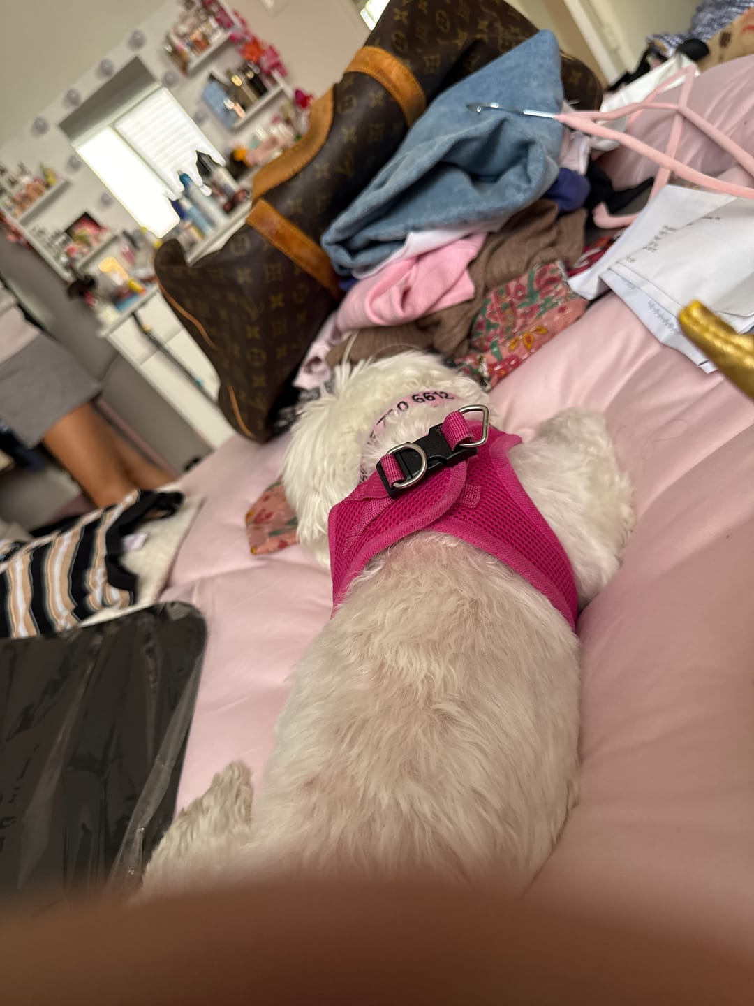 Customer photo review of MarshMellow Comforter