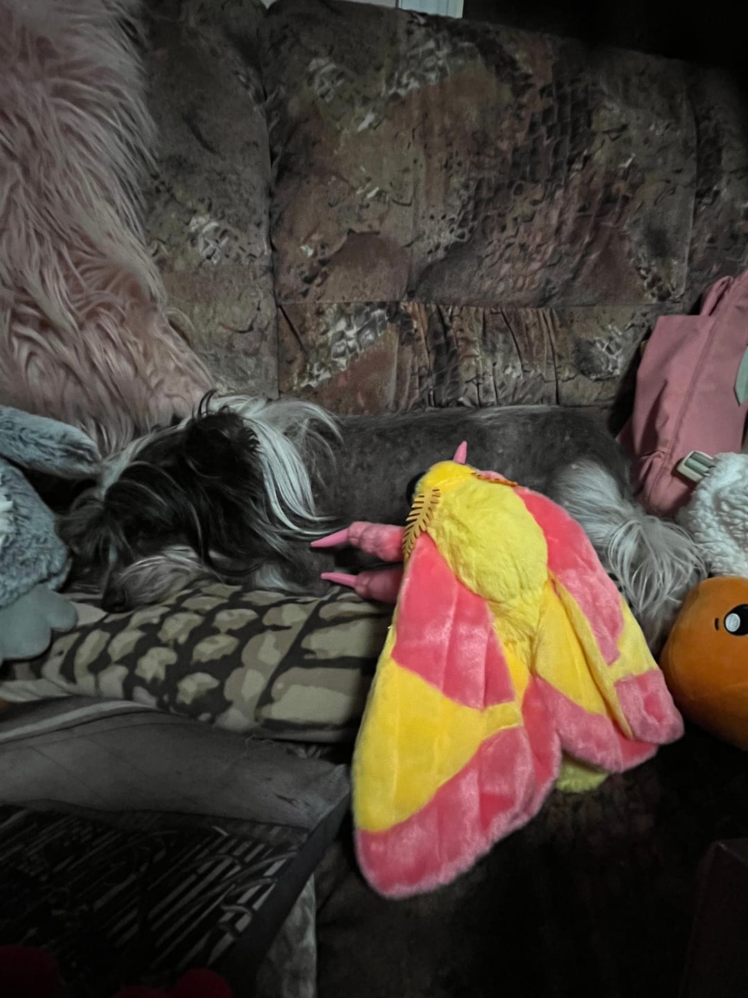 Customer photo review of Rosy Maple Moth Soft Stuffed Plush Toy